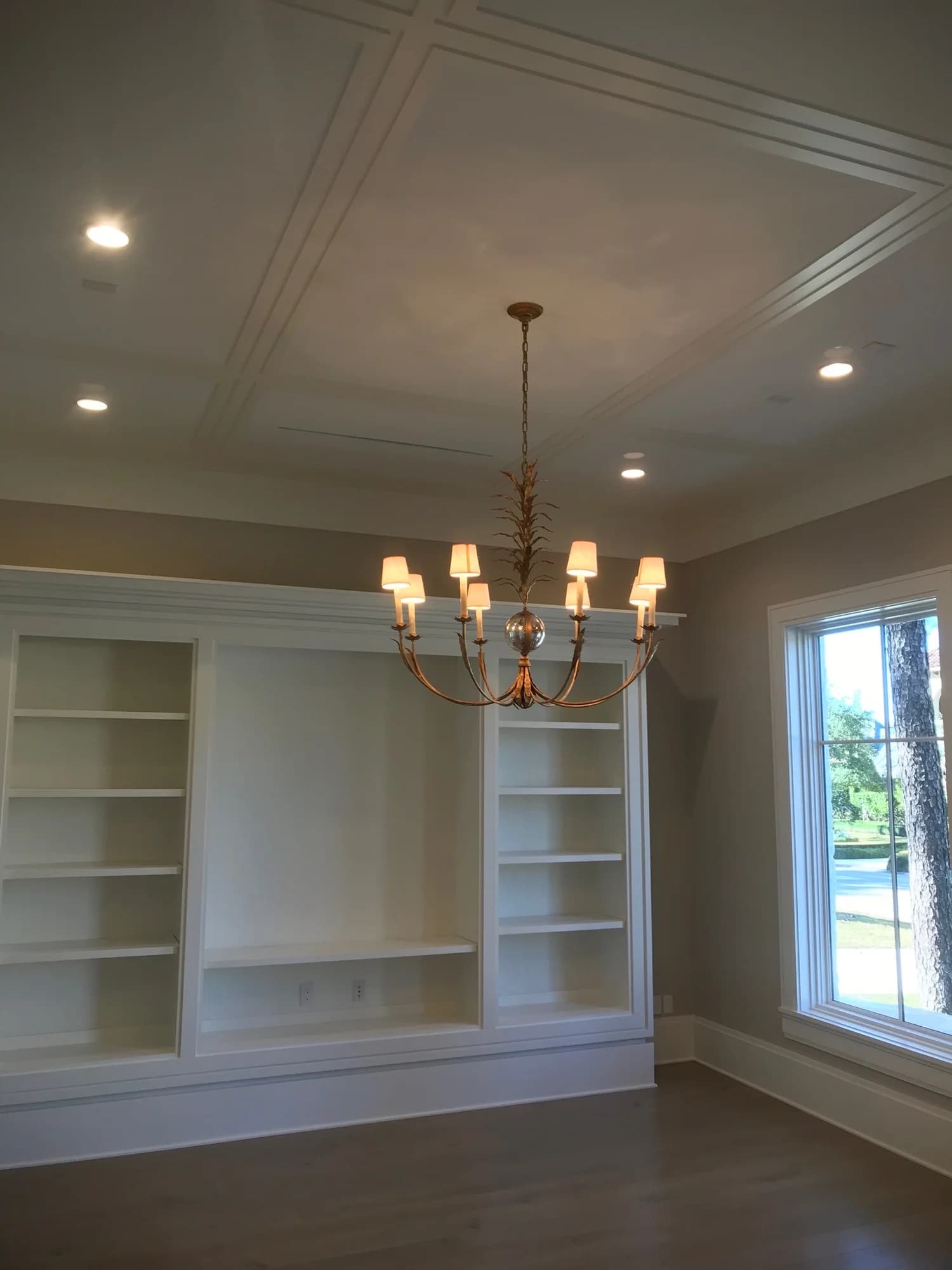 Dining room chandelier and recessed lighting
